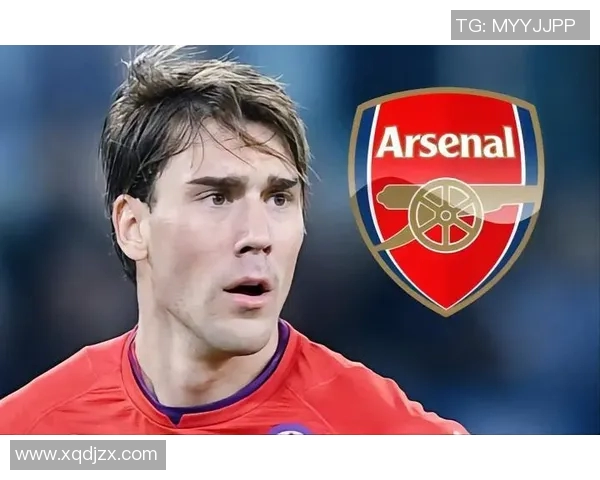 弗拉霍维奇：从新星崛起到足坛巨星的辉煌之路