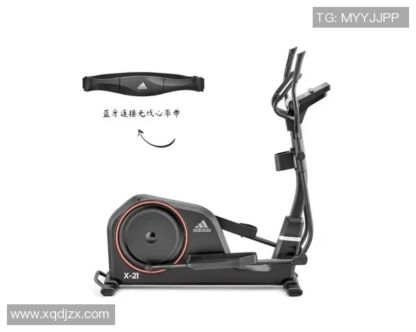 低价健身器材推荐让你在家轻松锻炼提升健康生活品质