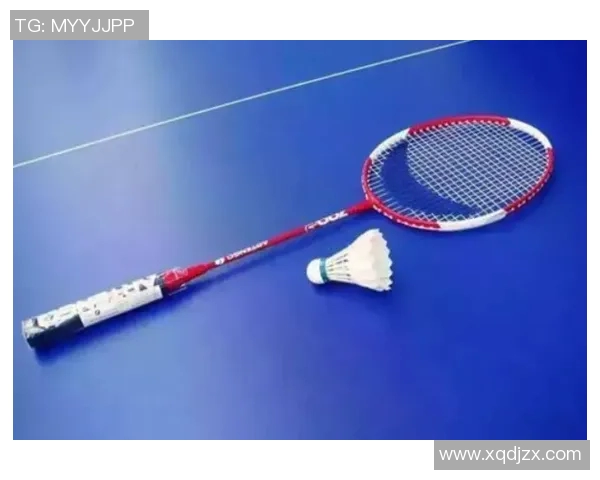 全面解析健身器材种类及市场价格一站式购物指南