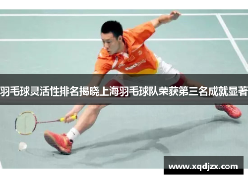 羽毛球灵活性排名揭晓上海羽毛球队荣获第三名成就显著