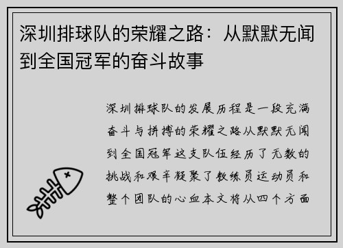 深圳排球队的荣耀之路：从默默无闻到全国冠军的奋斗故事