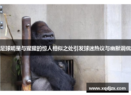 足球明星与猩猩的惊人相似之处引发球迷热议与幽默调侃